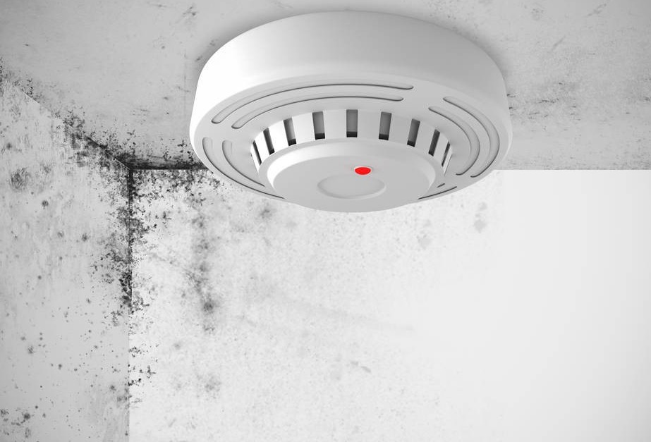 480586018528690309.jpg 480586018528690309.jpg