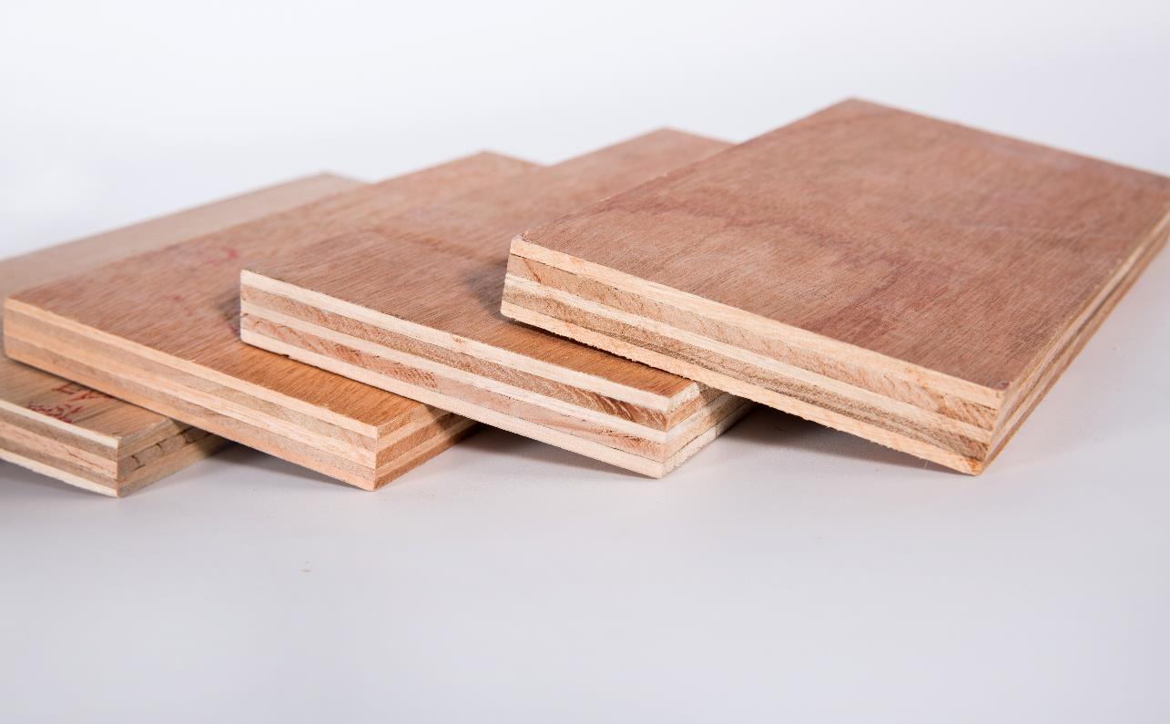 ec9edf1bccc7427ab98ed8d1828ef143.jpeg ec9edf1bccc7427ab98ed8d1828ef143.jpeg